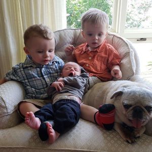 Meet your Posher, Susan